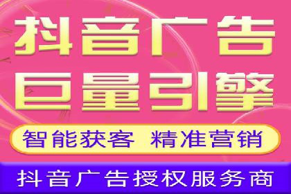 电商平台信息流广告的投放策略与效果评估案例